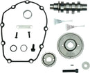 Harley-Davidson FLRT 1868 Freewheeler 114 [2021, 2023] - 540G Nockenwellensatz – Bild 3