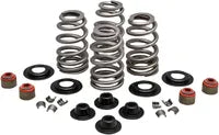Harley-Davidson FLSTNSE 1800 Softail Deluxe CVO [2014-2015] - Endurance Beehive valve spring set for Screamin' Eagle heads - picture 12