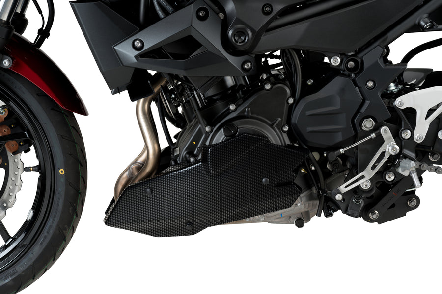 KAWASAKI Z 400 [2020] – Bugspoiler – Carbon look