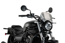 KAWASAKI ELIMINATOR 500 SE [2025] – ALU Frontplatte – Schwarz-18
