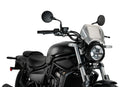 KAWASAKI ELIMINATOR 500 SE [2025] – ALU Frontplatte – Schwarz-3