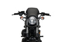 YAMAHA XV 950 R [2020] – ALU Frontplatte – Silber-9