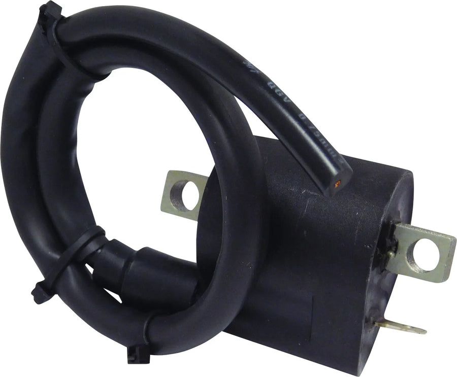Kawasaki Ninja 650 [PARTS EUROPE] – Zündspule
