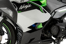 KAWASAKI NINJA E-1 [2025] – Sturzpads R19 – Schwarz-1
