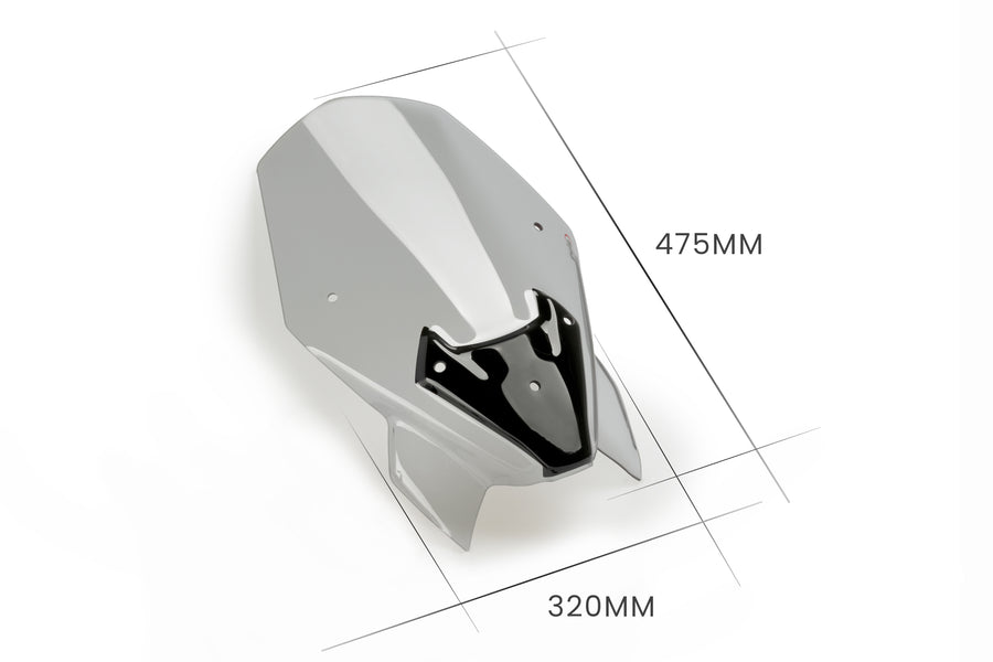 BMW F 900 R [2024] – New Generation Touring fairing window – tinted