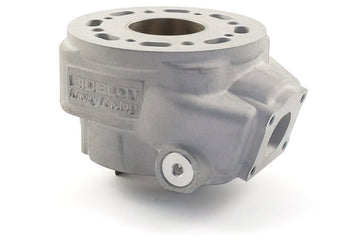 Beta RR-T SM 50 2T - cylinder kit Racing RF50WR