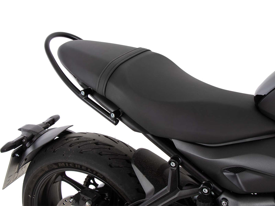 Triumph Trident 660 [2025] - Soziushaltegriff