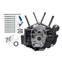 Harley-Davidson FLRT 1868 Freewheeler 114 [2021-2023] - MK-Series Motorgehäuse – Bild 3