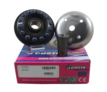 Kymco PEOPLE 300 I GT [2011-2012] - Variator Pro – Bild 2