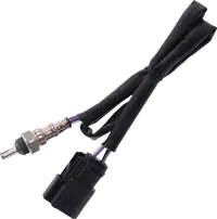 Harley-Davidson Vrscf 1250 V Rod Muscle [2013, 2015-2017] - 12 mm lambda sensor – item no. 9904 – Figure 11