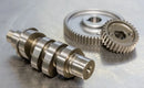 Harley-Davidson FLHD 1923 Deadwood 117 [2026] - 590G Nockenwellensatz für Zahnradantrieb – Bild 2