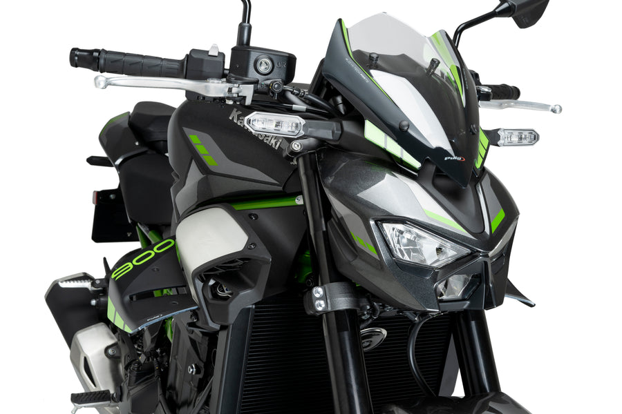 KAWASAKI Z 900 SE [2025] – D12 Spoiler – Carbon look