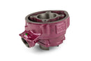 Beta RR-T SM 50 2T - cylinder kit Due Plus 75 cc
