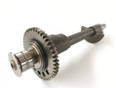 Triumph Tiger 955i 709EN [2001] - balance shaft-1