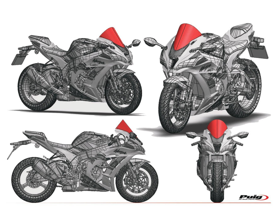 DUCATI PANIGALE V2 [2024] – R-Racer Scheibe – Transparent
