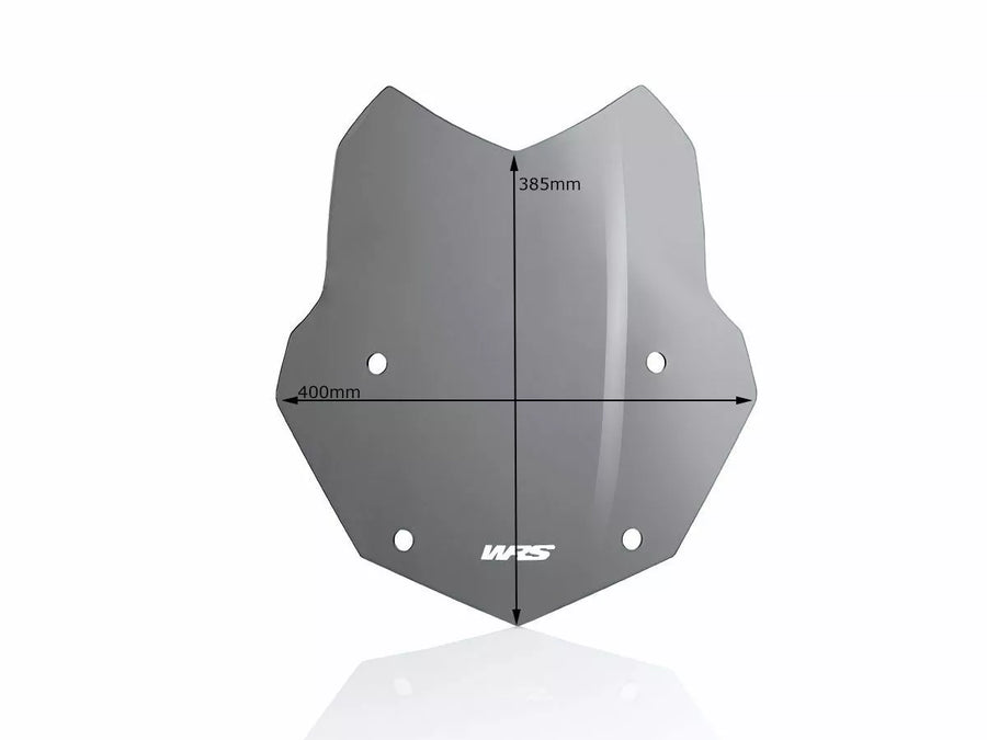 BMW R 1200 GS [WRS] – Windschild