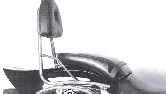 Suzuki M 800 Intruder [2005-2009] - Sissybar ohne Gepäckbrücke