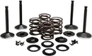 Harley Davidson Knucklehead [KIBBLEWHITE] – Motorventil-Kit