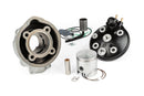 Beta RR-T SM 50 2T - cylinder kit sport 80ccm gray cast iron