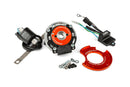Derbi Senda DRD Racing SM 50 2T D50B0 [2012–] - Inner rotor ignition MK2