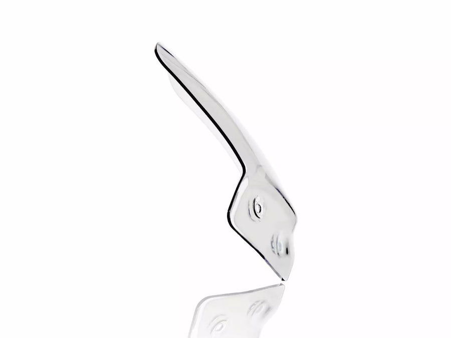 BMW R 1200 R [WRS] – Windschild
