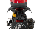 Ducati Monster 890 / + [2026-] - Luggage Guard