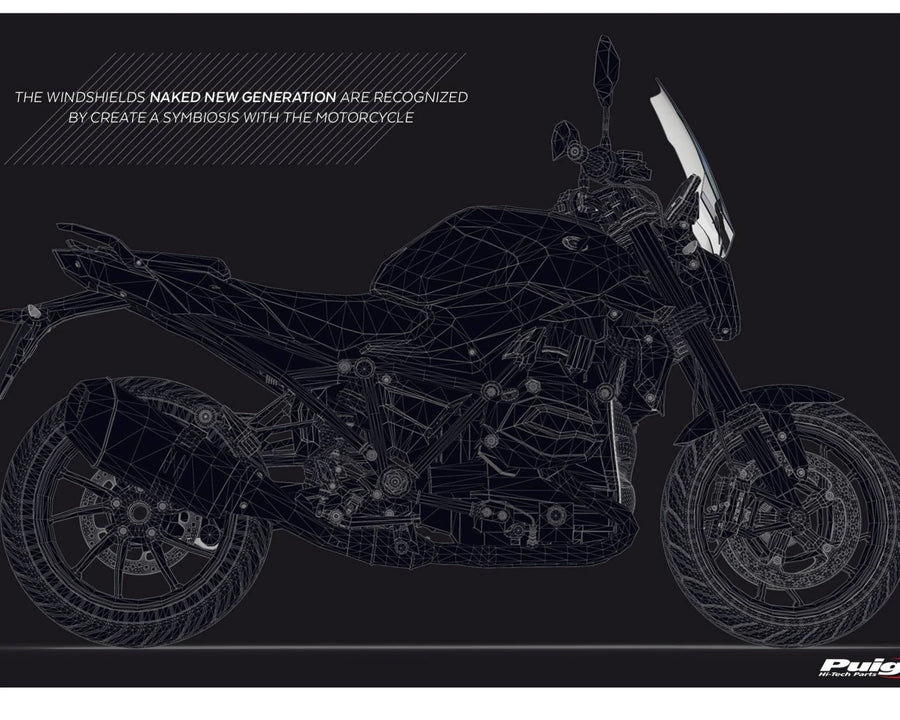 BMW R 1250 R [2018] – New Generation Sport – Tinted