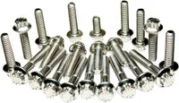 Harley-Davidson FXDBA 1584 Dyna Street Bob Limited [2013] - Dress-Up 12-Point External Primary/Transmission Engine Bolts Kit - Image 6