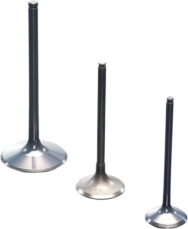 GAS GAS EC 450 [PROX] – Titanium Ventil