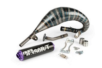 Beta RR Track 50 2T - Exhaust R/T 70-80 Black / Purple