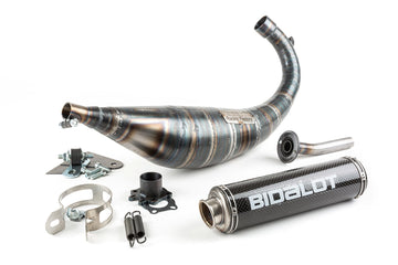 Aprilia RX 50 2T D50B1 [2006–] - Exhaust RF50WR