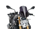 BMW R 1200 R [2018] – New Generation Touring – Getönt-2
