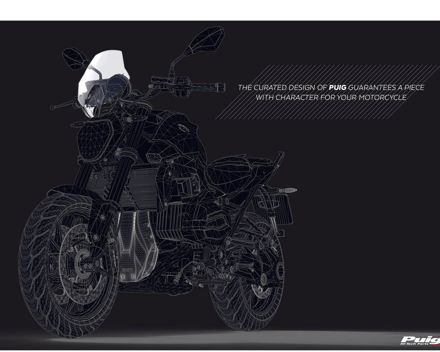 BMW R 1250 R [2025] – New Generation Sport – Getönt