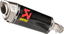 BMW S 1000 RR [AKRAPOVIC] – Endschalldämpfer-1