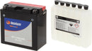 Yamaha Fzs 1000 [TECNIUM] - Wartungsfreie Batterie mit Säurepack - BT14B-BS