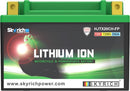Kawasaki Vn 1600 Mean Streak [SKYRICH] - Lithium-ion battery - LTX20CH