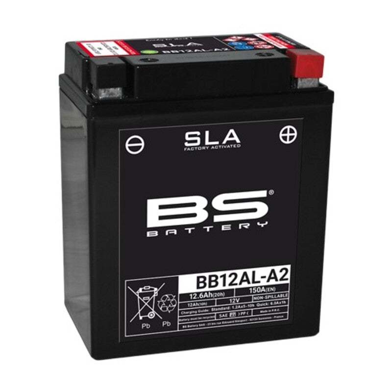 BMW F 650 GS [BS BATTERY] - Motorradbatterie
