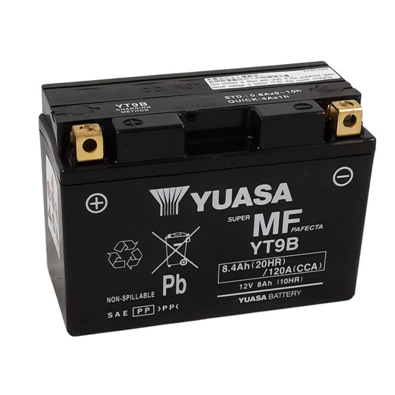 Yamaha TT 600 RE [YUASA] - Motorradbatterie