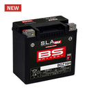Kawasaki VN 800 Classic [BS BATTERY] - Motorradbatterie-1