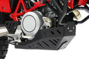 Ktm Smc 690 [CROSS-PRO] - Underrun protection