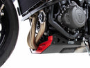 Triumph Trident 660 [2021-2024] - Bugspoiler-3