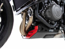 Triumph Trident 660 [2021-2024] - Bugspoiler-1