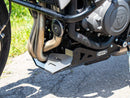 Triumph Trident 660 [2021-2024] - Bugspoiler-3