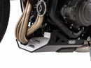 Triumph Trident 660 [2021-2024] - Bugspoiler-2