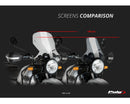 ROYAL ENFIELD HIMALAYAN 410 [2023] – Tourenscheibe – Getönt-20