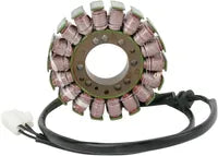 Triumph Daytona 955 [RICK'S MOTORSPORT ELECTRIC] – Stator für Triumph