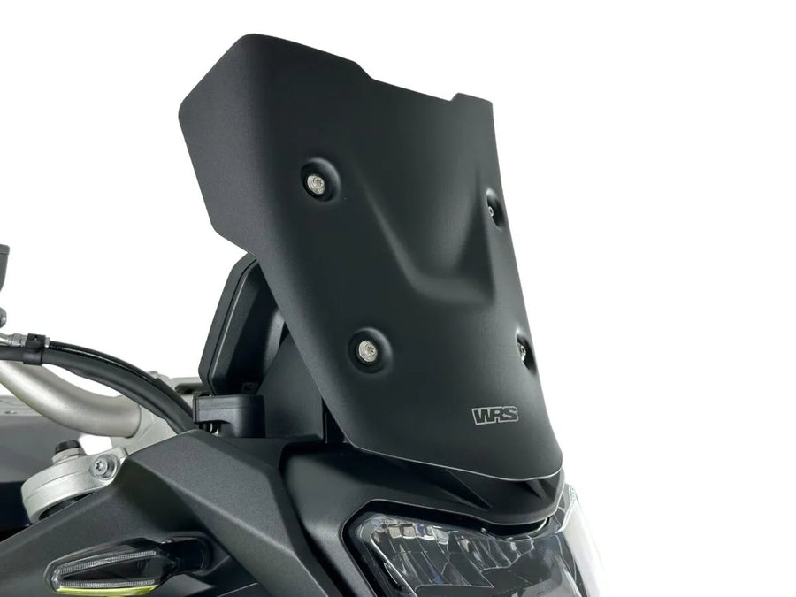 BMW F 900 GS [WRS] – Windshield