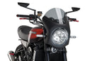 KAWASAKI Z 900 RS SE [2025] – Retro-Verkleidungscheibe – Stark getönt-20