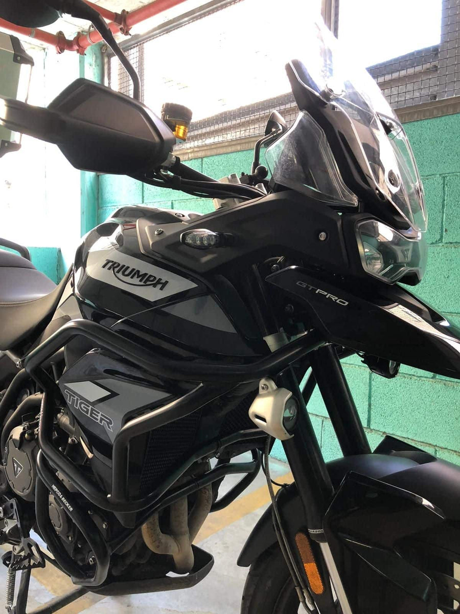 Triumph Tiger 900 Rally [2020-2023] - Tankschutzbügel Solid