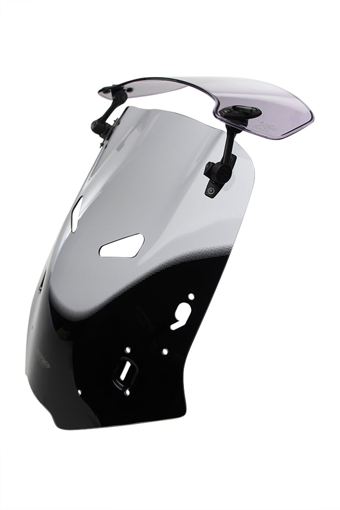 Honda CBF 1000 [2006-] – X-Creen-Touring "XCTM"